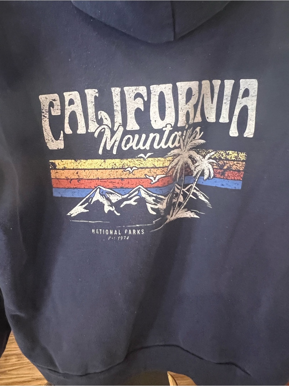 California Mountain Graphic Hoodie - Navy Blue